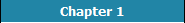 Chapter 1
