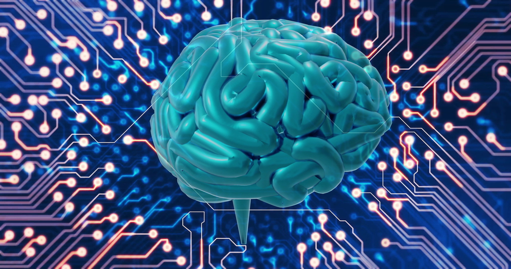 Neuroscience network visualization